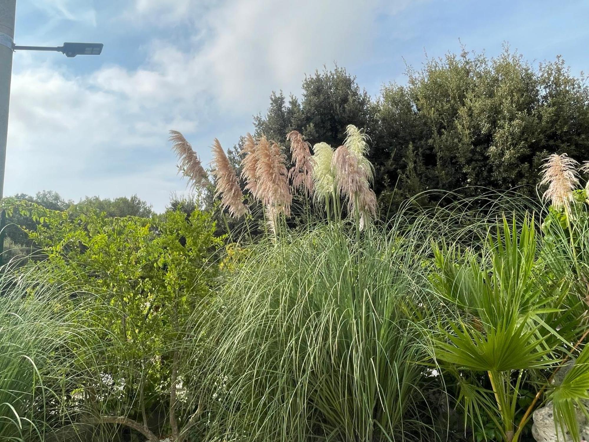 Villa Romina Selva di Fasano Kültér fotó